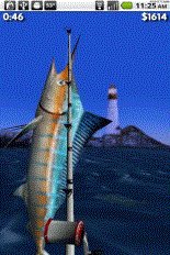 download Big Sport Fishing 3D apk